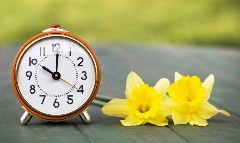 spring clock